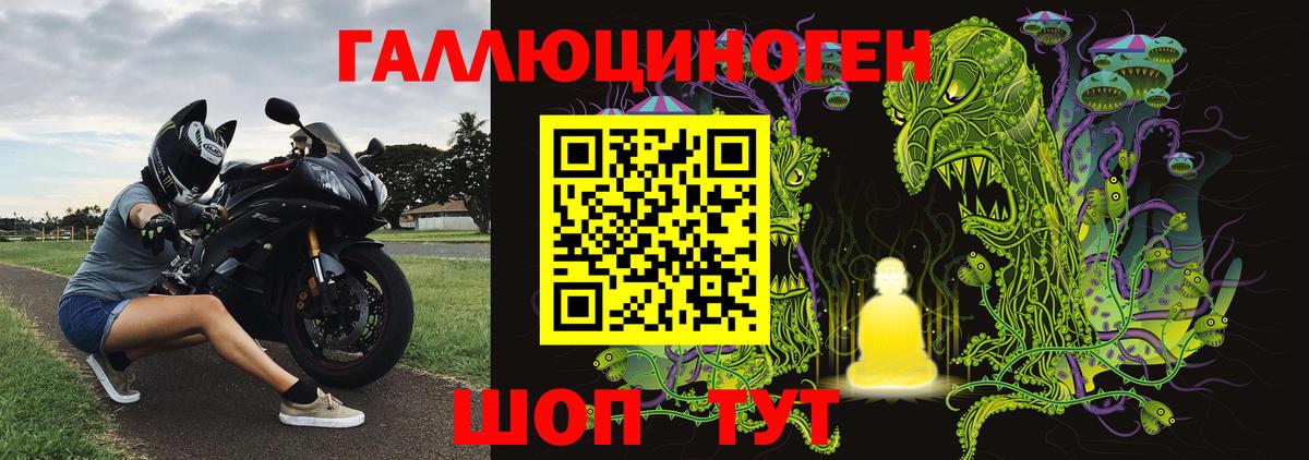 Галлюциногенные грибы Psilocybine cubensis  Вход с VPN  Балтийск 
