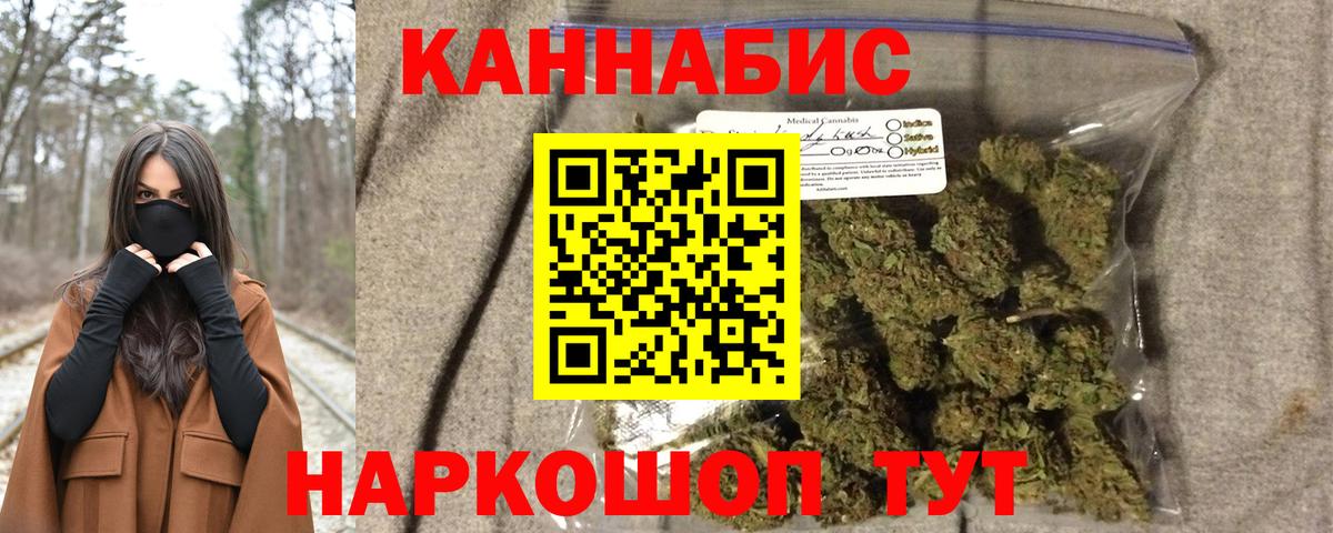 Бошки Шишки план Балтийск